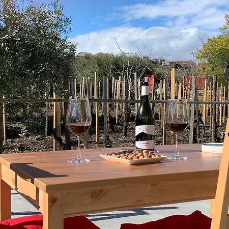 Casa vacanze La Casa Nel Vigneto Di Tenuta Bastonaca