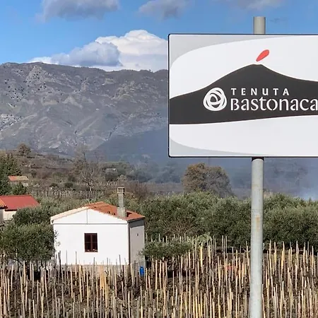 La Casa Nel Vigneto Di Tenuta Bastonaca