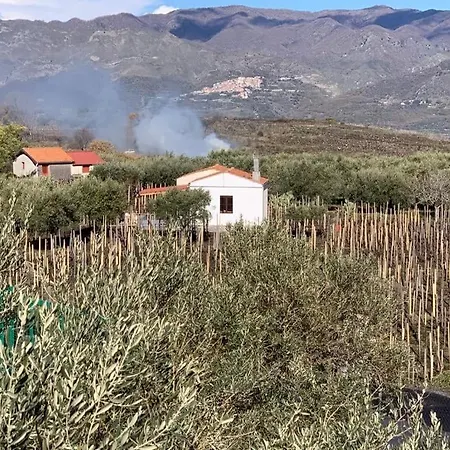 Casa vacanze La Casa Nel Vigneto Di Tenuta Bastonaca Solicchiata
